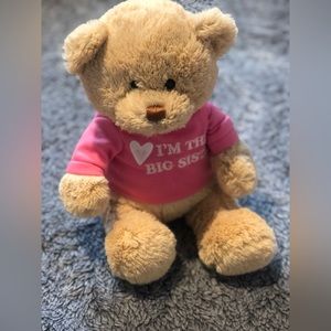 Gund I'm The Big Sister T-shirt Teddy Bear Plush Stuffed Animal 12 In